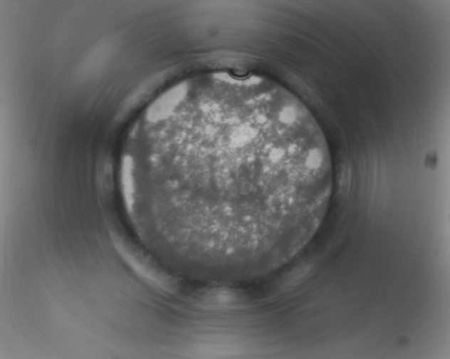 X0000115180254200911251403