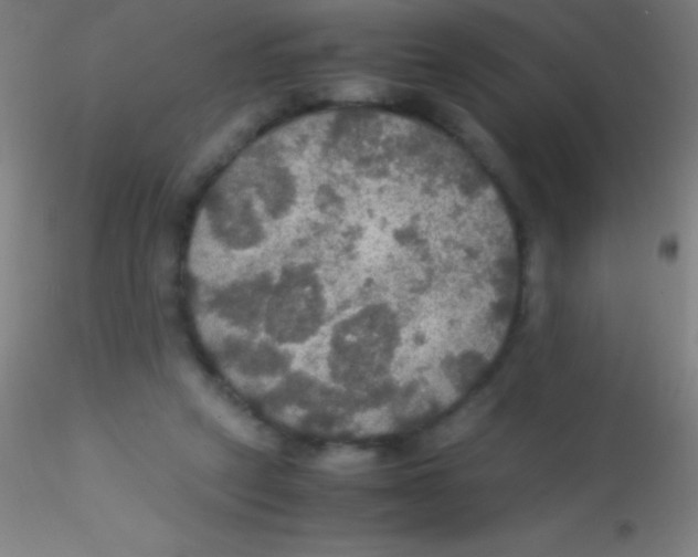 X0000115180257200911251403