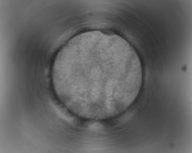 X0000115180258200911251403