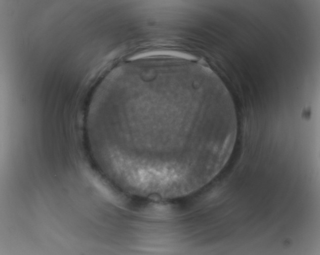X0000115180260200911251403