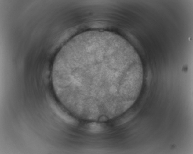 X0000115180261200911251403