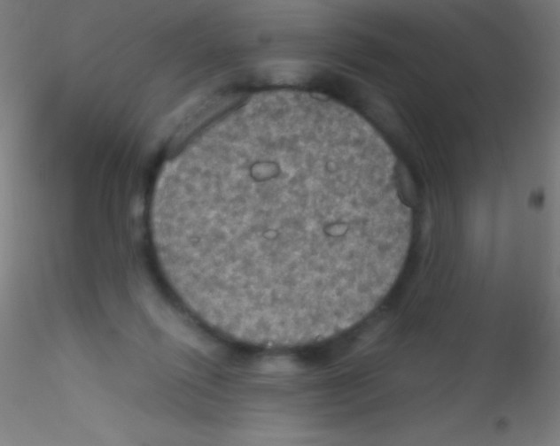 X0000115180262200911251403