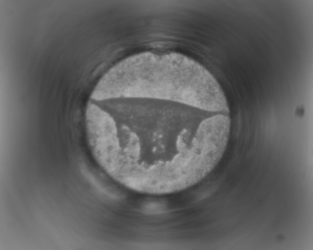 X0000115180263200911251403