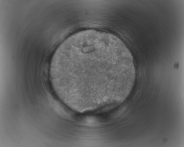 X0000115180264200911251403