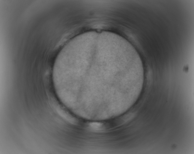 X0000115180265200911251403