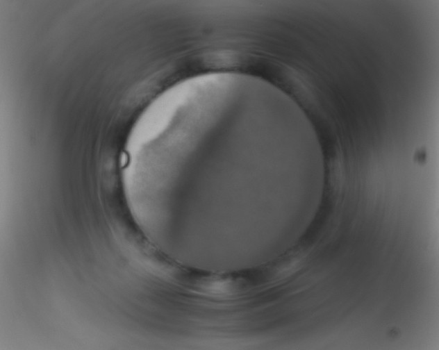 X0000115180267200911251403