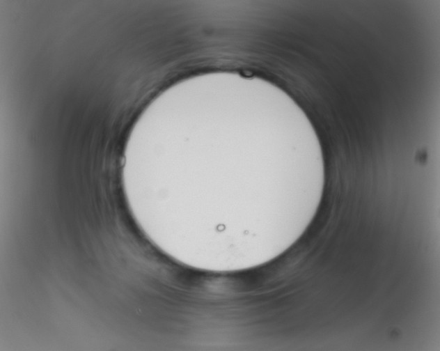 X0000115180268200911251403