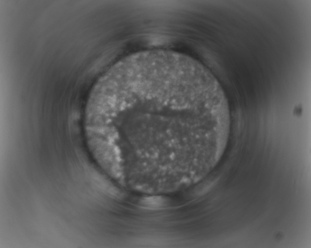 X0000115180269200911251403