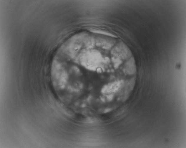 X0000115180270200911251404