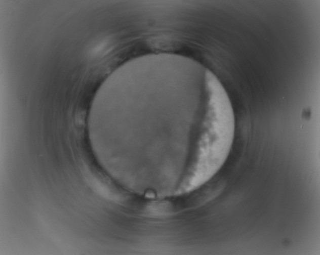X0000115180271200911251404