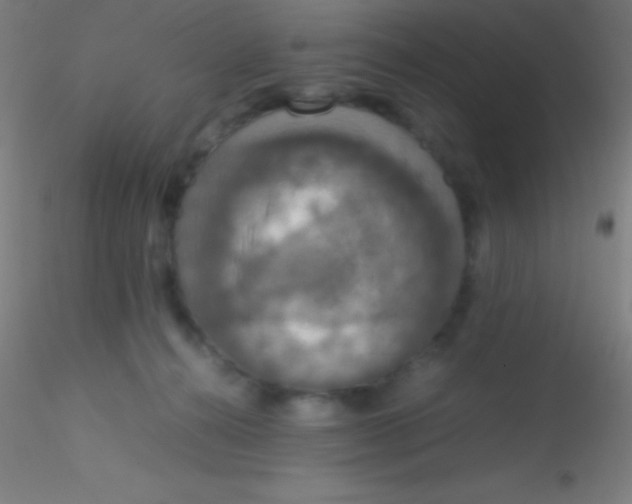 X0000115180272200911251404