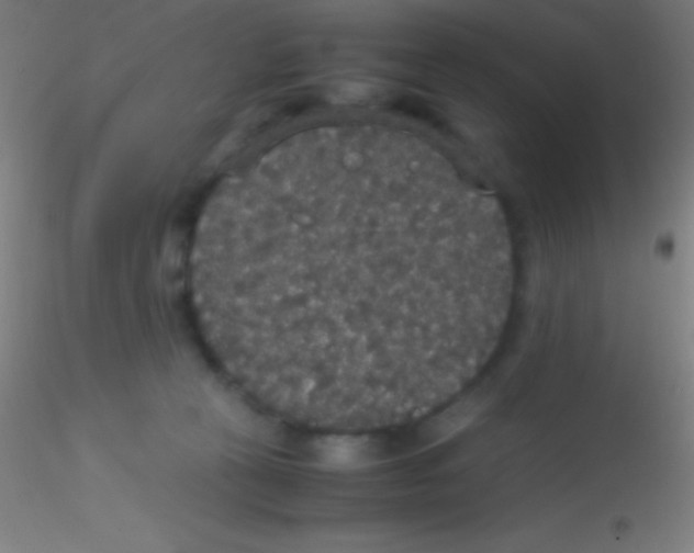 X0000115180273200911251404