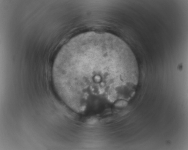 X0000115180274200911251404