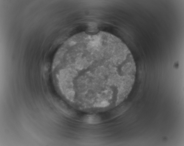 X0000115180275200911251404