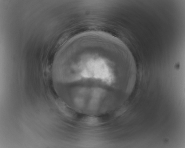 X0000115180276200911251404