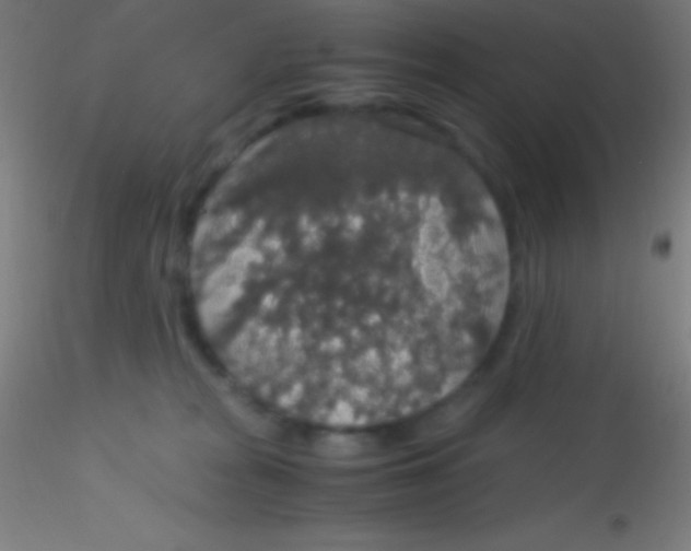 X0000115180277200911251404