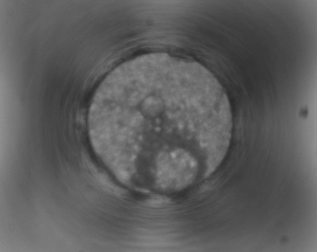 X0000115180278200911251404