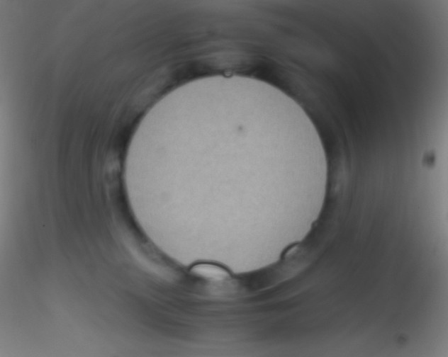 X0000115180279200911251404