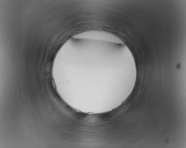 X0000115180280200911251404