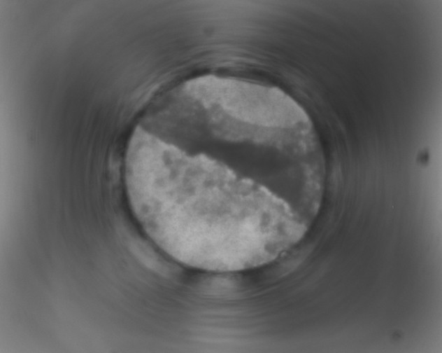 X0000115180282200911251404