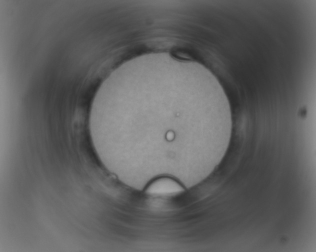 X0000115180283200911251404