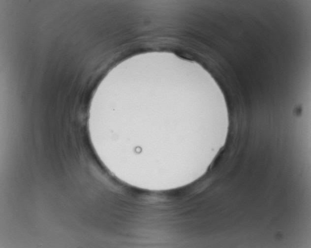 X0000115180284200911251404