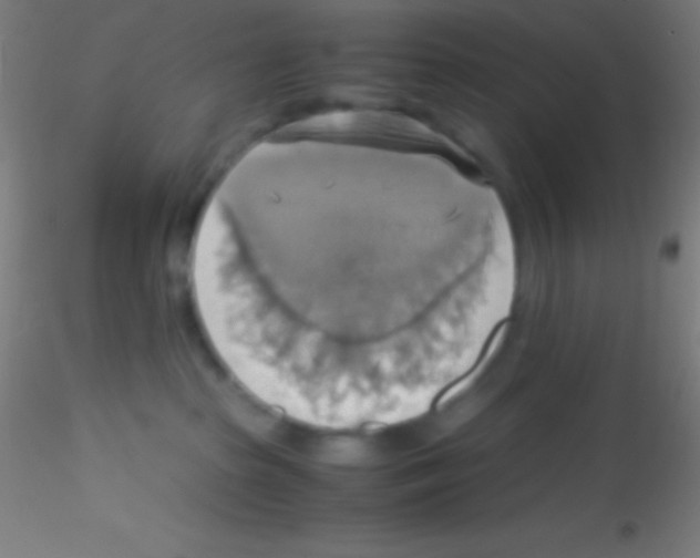 X0000115180285200911251404