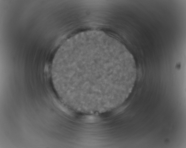 X0000115180286200911251404