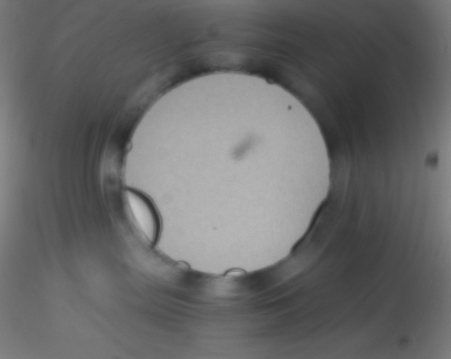 X0000115180287200911251404