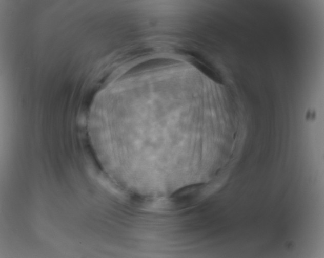 X0000115180288200911251404