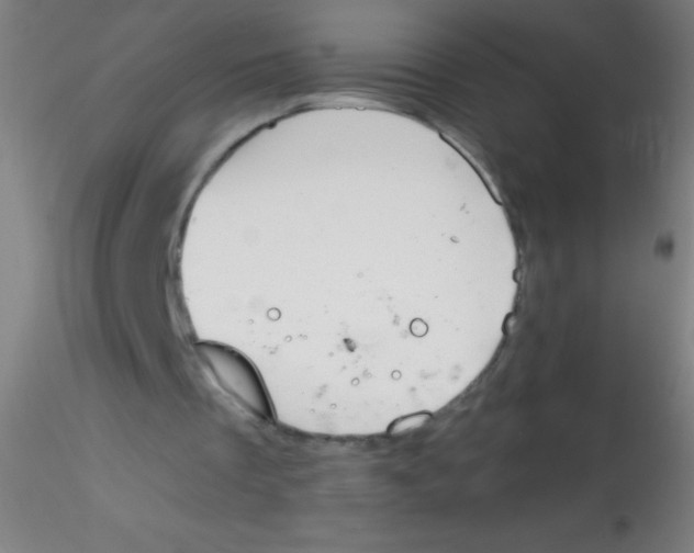 X0000115180289200911251403