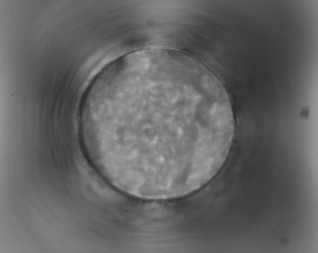 X0000115180290200911251403