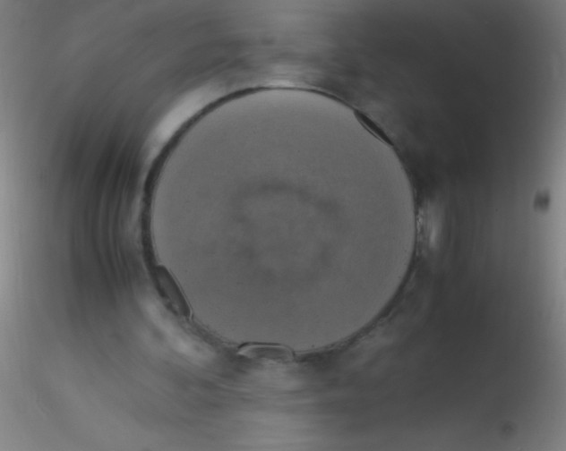 X0000115180292200911251403