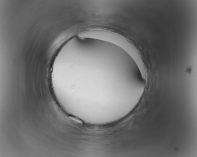 X0000115180293200911251403