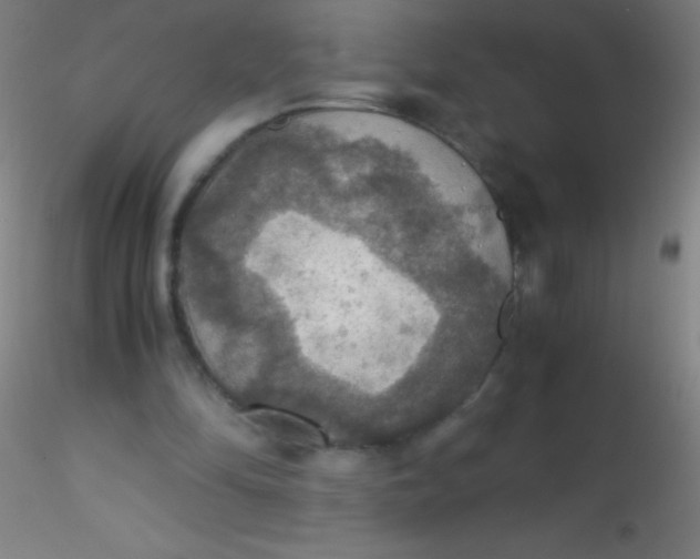 X0000115180294200911251403
