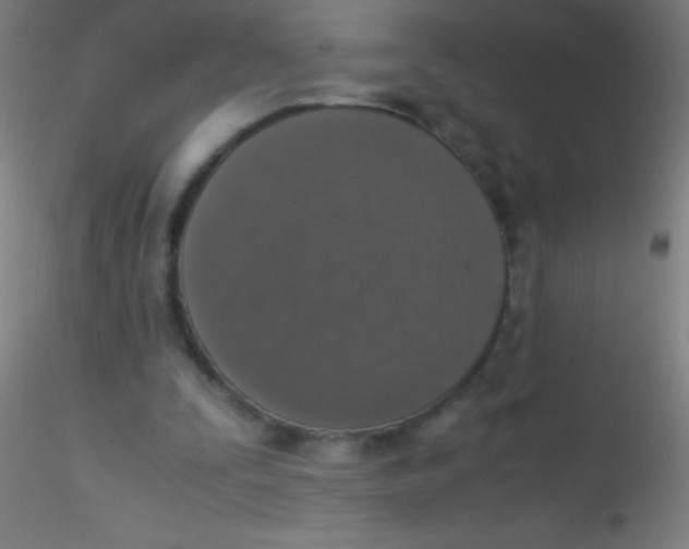 X0000115180295200911251403
