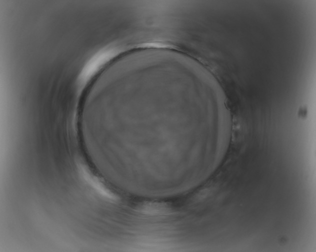 X0000115180296200911251403