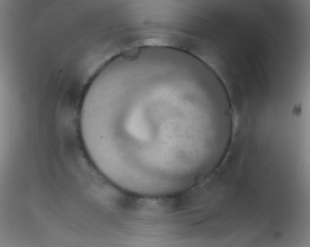 X0000115180297200911251403