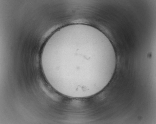 X0000115180298200911251403