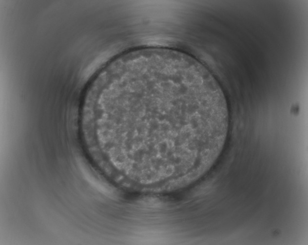 X0000115180299200911251403