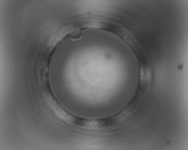 X0000115180301200911251403