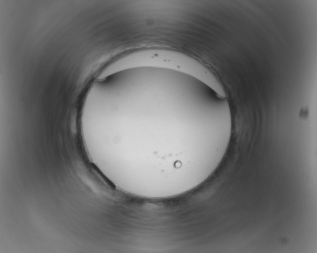 X0000115180302200911251403
