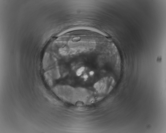 X0000115180303200911251403