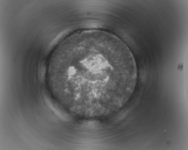 X0000115180304200911251403