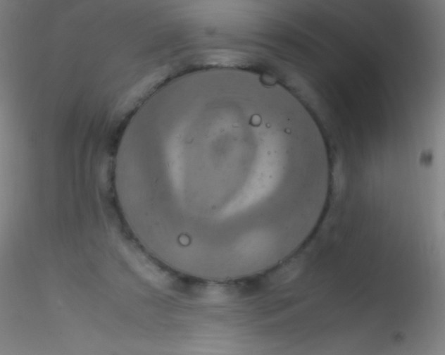 X0000115180305200911251403