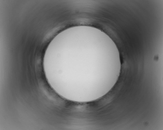X0000115180306200911251403