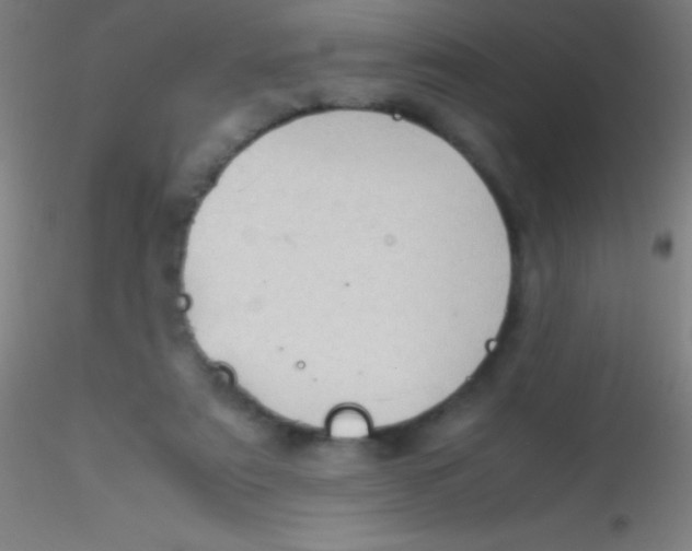 X0000115180307200911251403