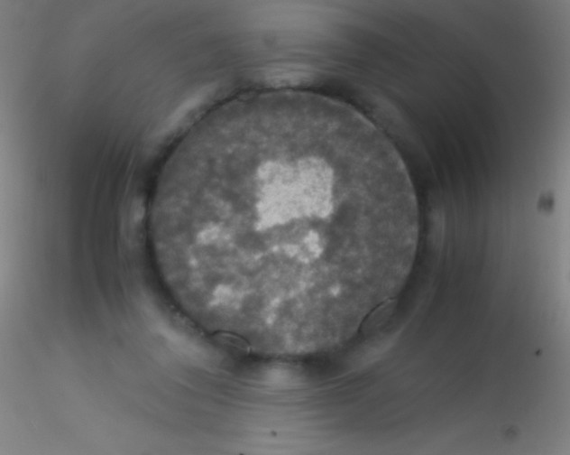 X0000115180308200911251403