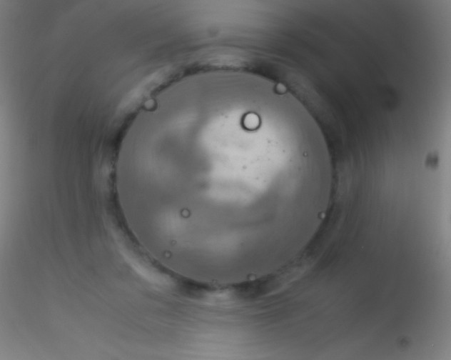 X0000115180309200911251403