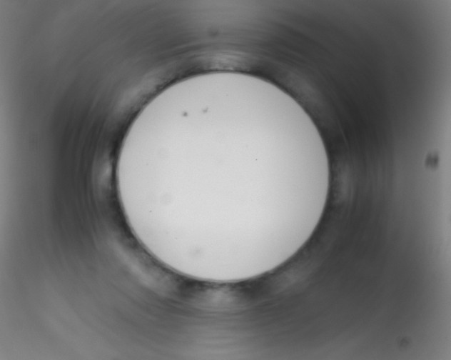 X0000115180310200911251403